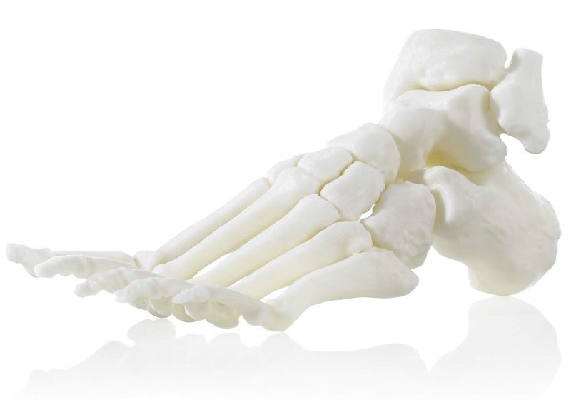 ABS M30i 3D printed foot