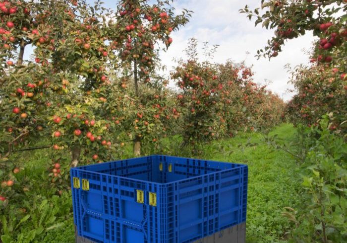 Agricultural bin design