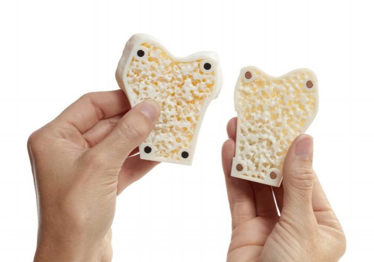 Magnetic Bone Hands Voxel Print